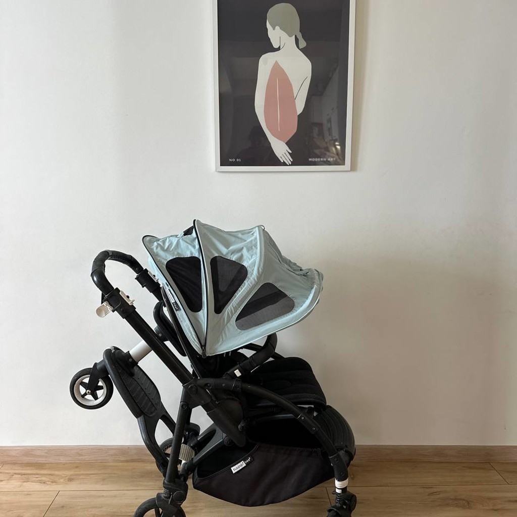 Прогулочная коляска Bugaboo Bee 6