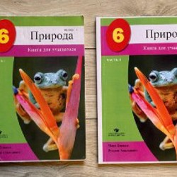 Учебники для Евро2000 6 класс - фото 3