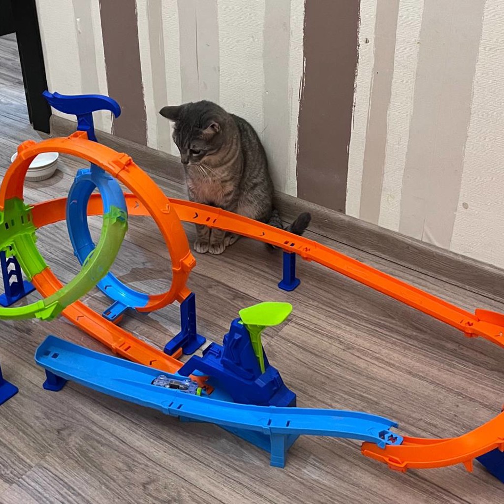 Hot Wheels Stunt Tracks Rapid Launch Cyclone