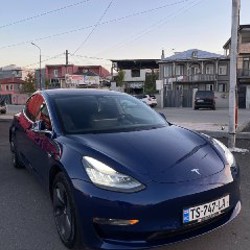 Tesla 3 Dual Motor - фото 2