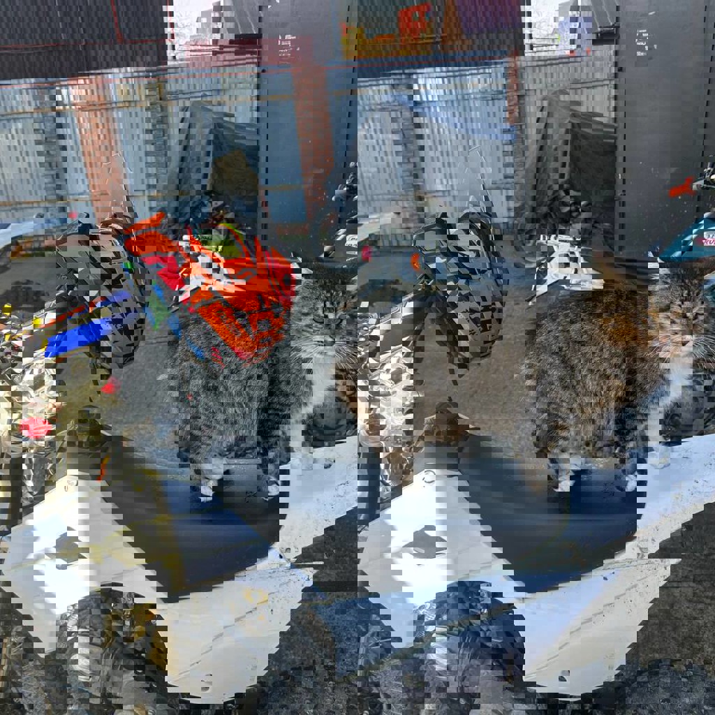 Мотоцикл Kayo tt140