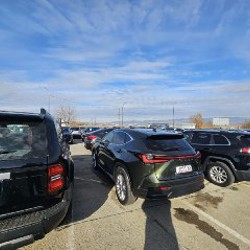 LEXUS NX350 HYBRID 4X4 - фото 2