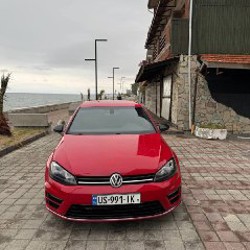 VOLKSWAGEN GOLF 7R - фото 5