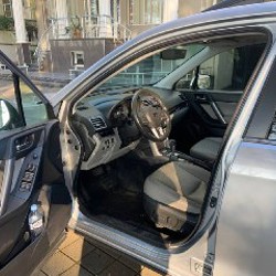 Форестер лимитед - фото 3