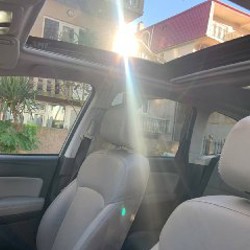 Форестер лимитед - фото 4