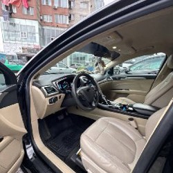 Гибрид - фото 2