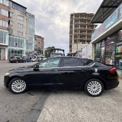 Гибрид - фото 3