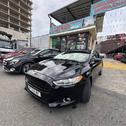 Гибрид - фото 4