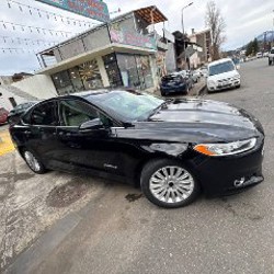 Гибрид - фото 5