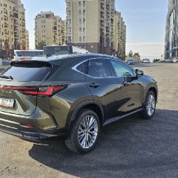 LEXUS NX 350 HYBRID 4X4 - фото 6