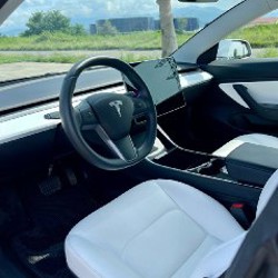 Standard - фото 2