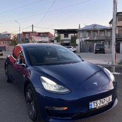 Tesla 3 Dual Motor - фото 3