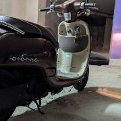 Мопед HONDA GIORNO AF70 - фото 2