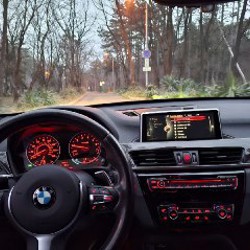 BMW X1 (F48) - фото 4
