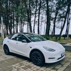 Tesla Model Y - фото 2
