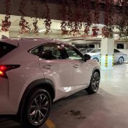 F Sport - фото 4