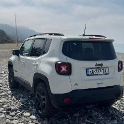 Jeep Renegade 2020 года Оранж эдишен - фото 9