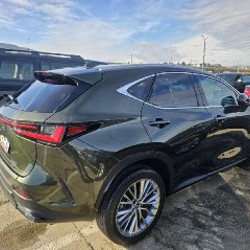 LEXUS NX 350 HYBRID - фото 2