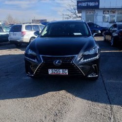 Lexus NX300h - фото 2