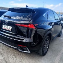 Lexus NX300h - фото 6
