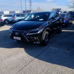 Lexus NX300h - фото 8
