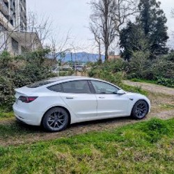Tesla Model 3 - фото 4