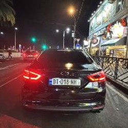 2016 года Хибрид - фото 7