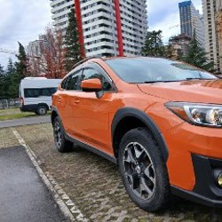 Subaru Crosstrek - фото 5