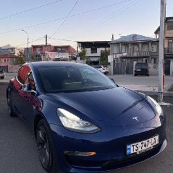 Tesla 3 Dual Motor, Long Range - фото 2