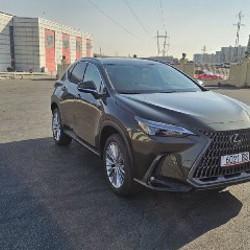 LEXUS NX 350 HYBRID - фото 5
