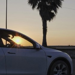 Tesla Model Y - фото 3