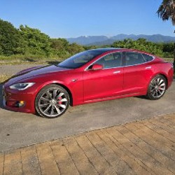 Tesla Model S P100D Dual Motor - фото 7