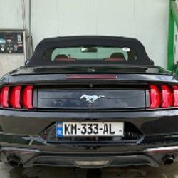 Ford Mustang 2019 Premium edition - фото 2
