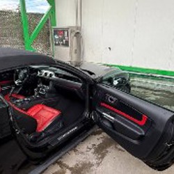 Ford Mustang 2019 Premium edition - фото 3