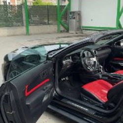 Ford Mustang 2019 Premium edition - фото 4
