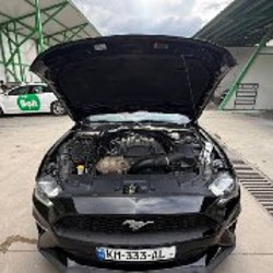 Ford Mustang 2019 Premium edition - фото 5