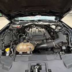 Ford Mustang 2019 Premium edition - фото 6