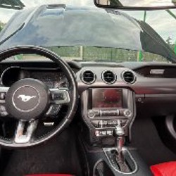 Ford Mustang 2019 Premium edition - фото 8