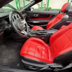 Ford Mustang 2019 Premium edition - фото 10