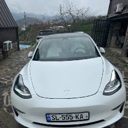 Tesla Model 3 Long Range Dual Motor - фото 2