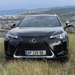 Lexus UX300h - фото 2