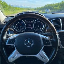 ML350 - фото 2