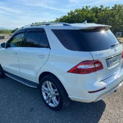 ML350 - фото 5