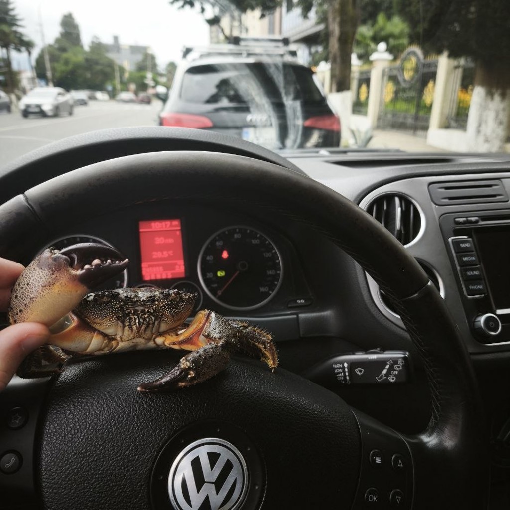 VW Тигуан