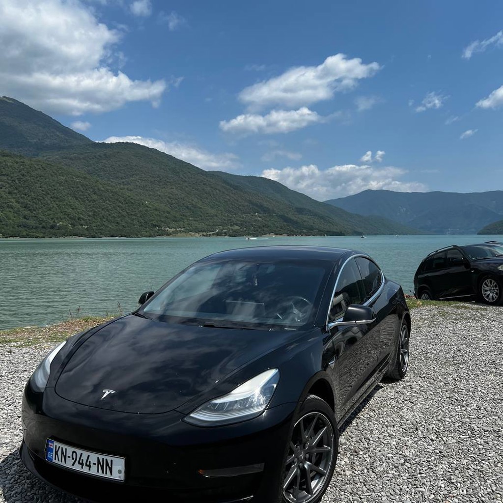 Tesla Model 3 Standart Range Plus