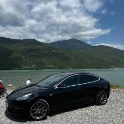 Tesla Model 3 Standart Range Plus - фото 2