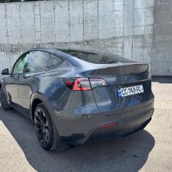 Tesla Model Y 2020 Dual Motor Long Range - фото 5