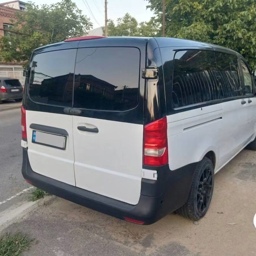 Mercedes Metris