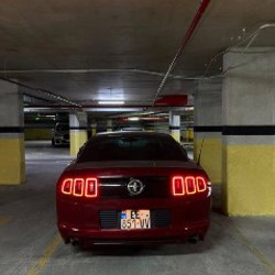 Ford Mustang - фото 4