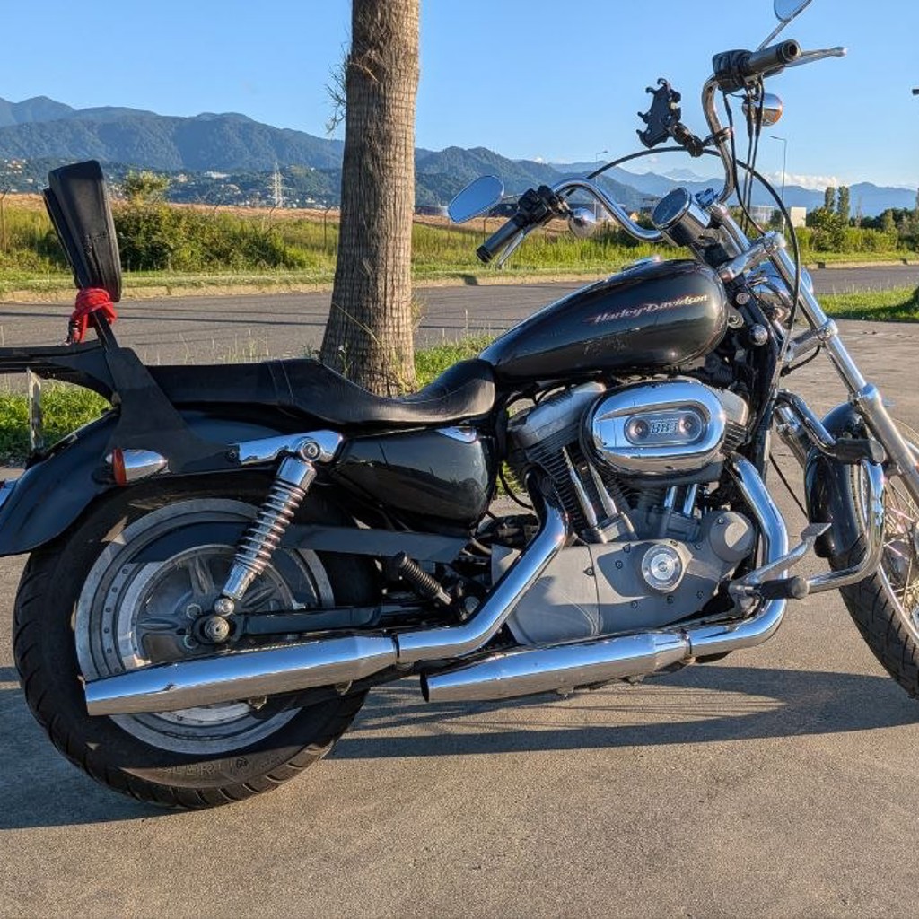 Harley Davidson 883 Sportster